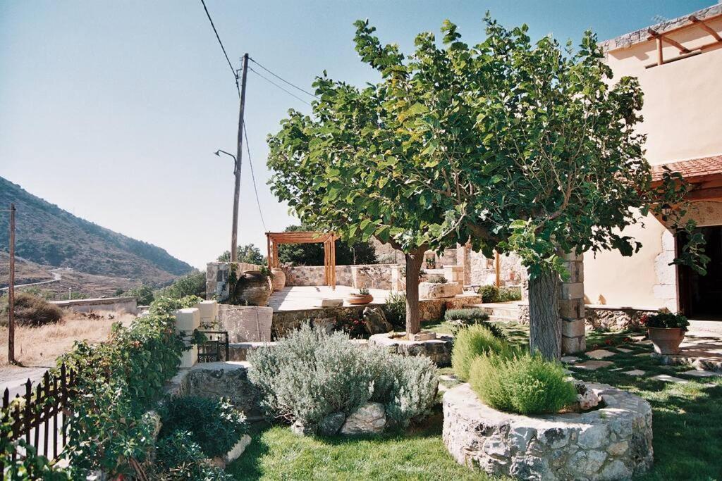 Traditional Villa With Pool In Sfakia Imbros Exterior foto